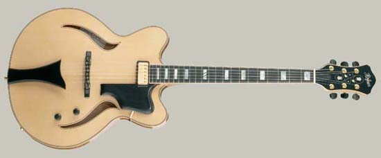 Hofner Verythin guitar